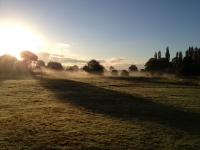 Misty-morning1.jpg