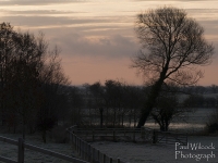 1401 Frosty Field & Trees.jpg